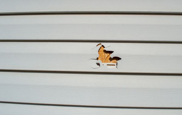 Siding Hole Repair in Red Oak