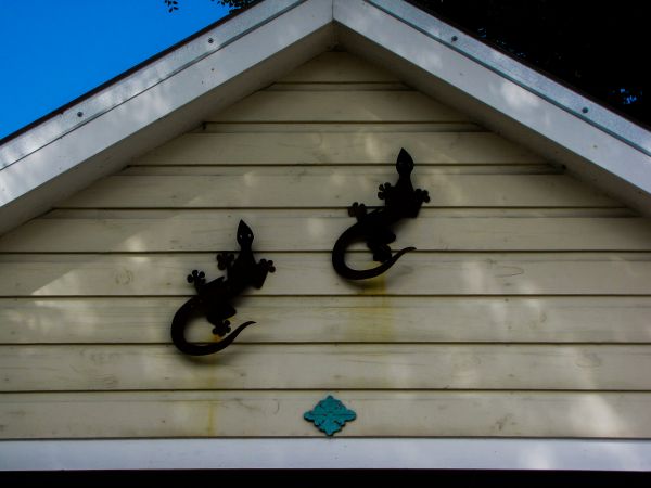 Shiplap Siding Installation in Red Oak